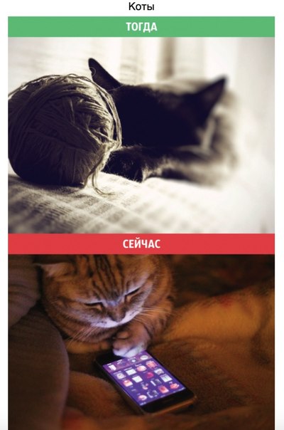 Фотографии из разряда «тогда и сейчас»