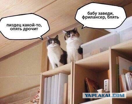 40-летний мужчина и любовь всей его жизни - кукла