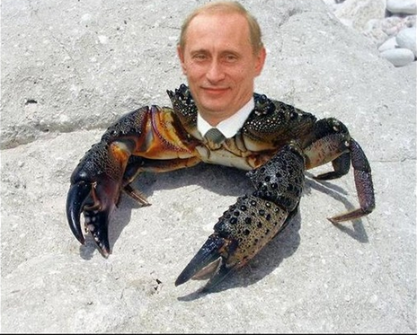 Как щуки заплыли в Москвариум на ВДНХ?