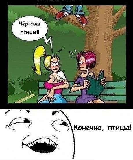 Минутка черного юмора на ЯПе