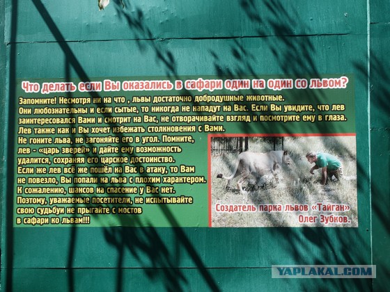 Парк львов Тайган, Крым