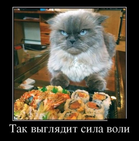 Подборка прикольных фото на пятницу