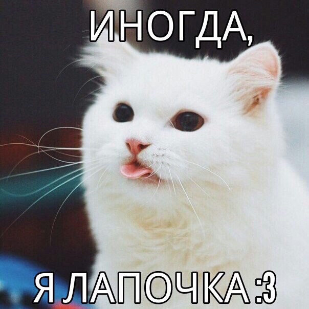 Картинки и демотиваторы