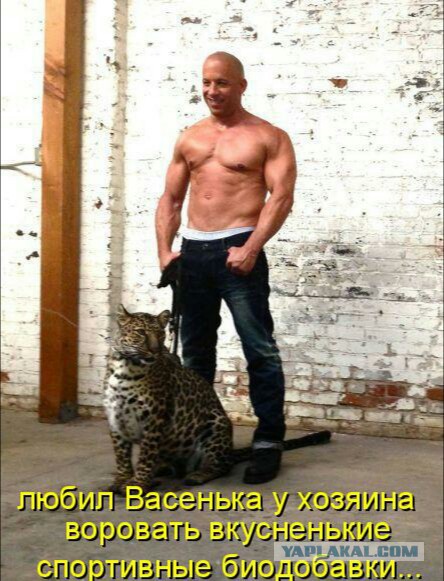 Брутальность этого котёнка зашкаливает!