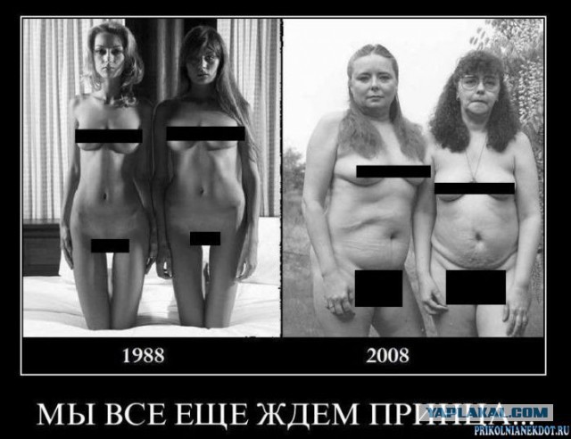 Подборка картинок из сети