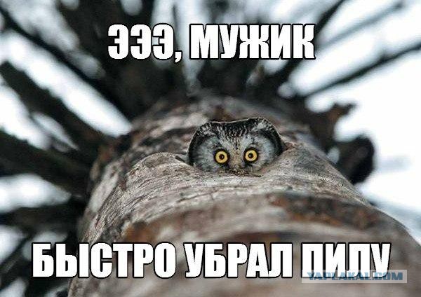 Очередная подборка картинок из сети
