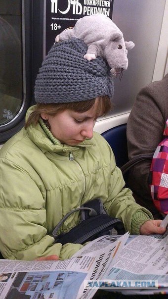 Воскресная подборка картинок