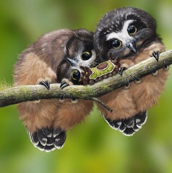 Подборка картинок 29.02.16