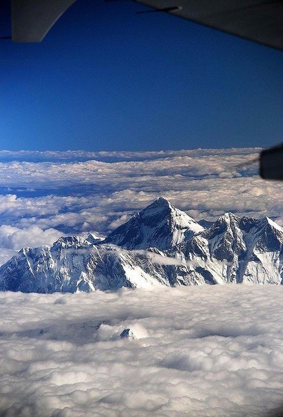 Интересные и веселые картинки