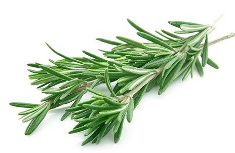 Бюджетная дача своими руками