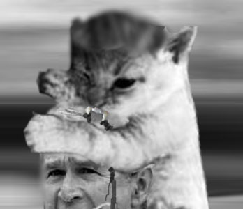 Фотожаба: Джорж Буш кошкоед