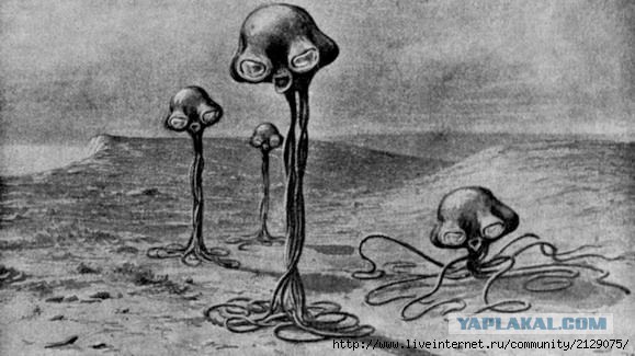 "Отпилите мне ногу": зачем россияне добровольно становятся инвалидами