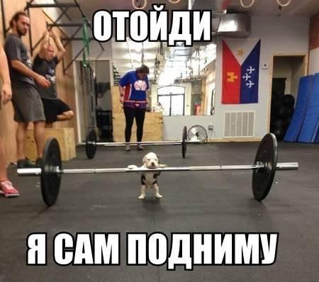 Мохнатые беспредельщики