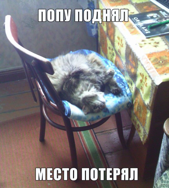 Мохнатые беспредельщики