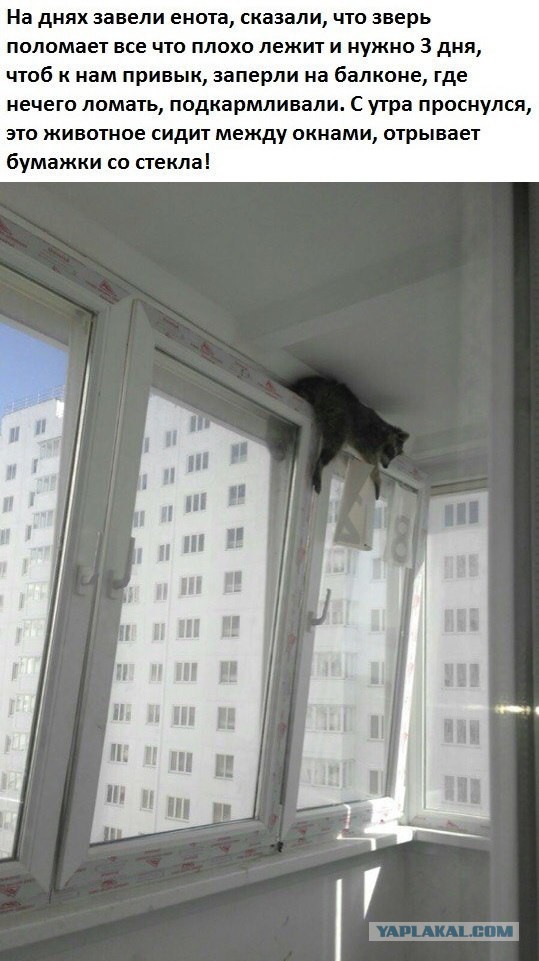 Немного картинок