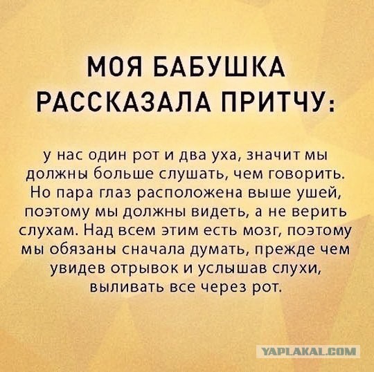 Несколько фоток