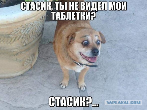 Кто?! Признавайтесь!