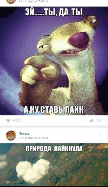 Ужасы и приколы из соцсетей 18+