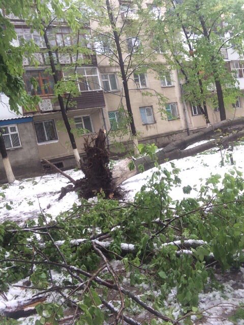 Апокалипсис в Кишиневе