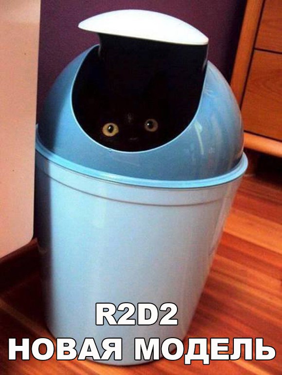 Коты и Кошки