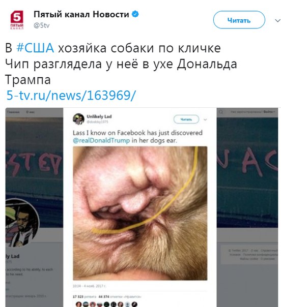 Журнал деградант