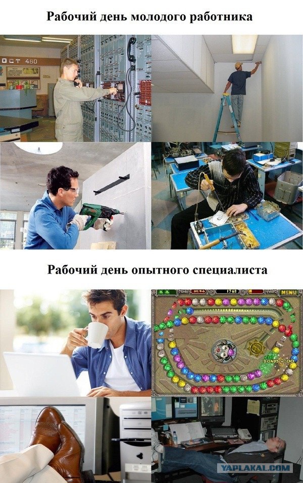 А сегодня Вы деградировали?
