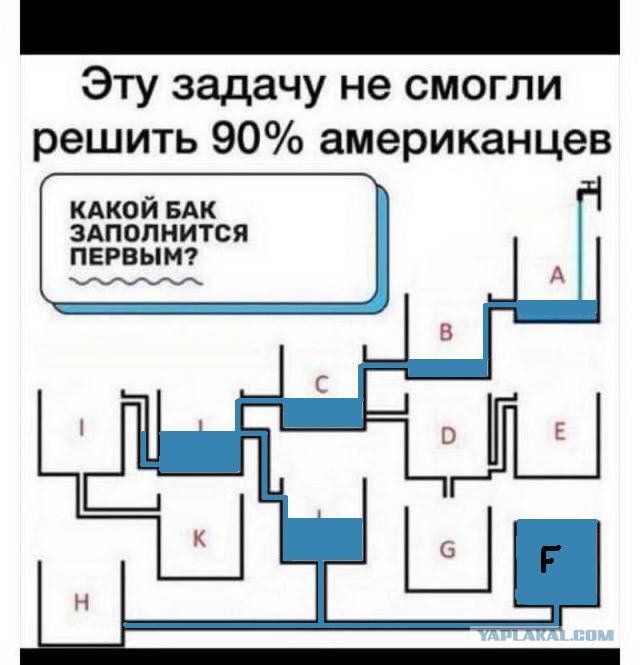 Скотсети и прочие интернеты 04.12.17