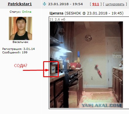 Забавные гифки с неожиданным сюжетом