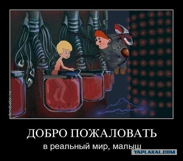 Наш мир иллюзорен. Это все фикция. Расслабьтесь и наслаждайтесь