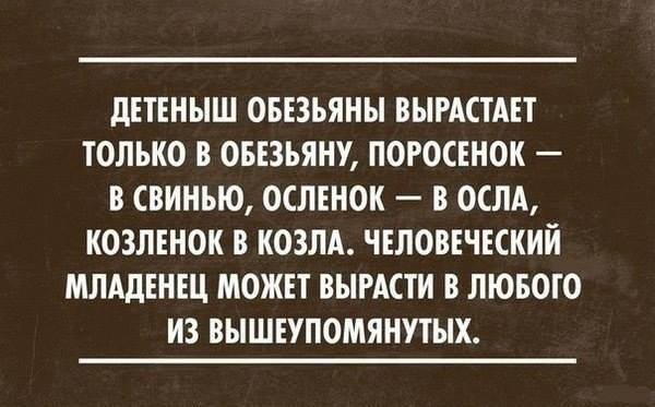 Поколение Z