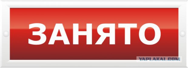Японцы выбирают силиконовые куклы...