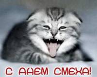 Итоги проверки пользователей