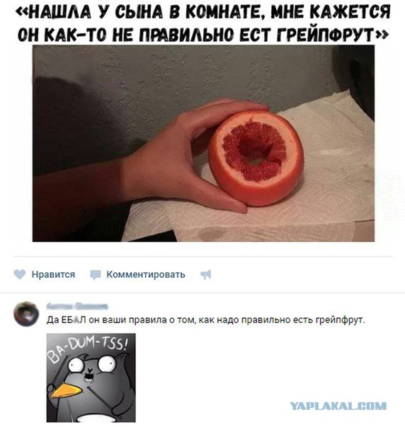 Смешные комментарии из социальных сетей 27.04.2018
