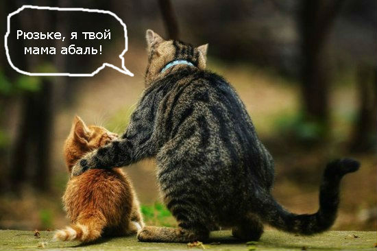 Слушай, сынок, что папка скажет!