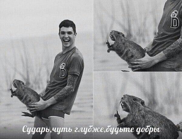 Нестандартный юмор