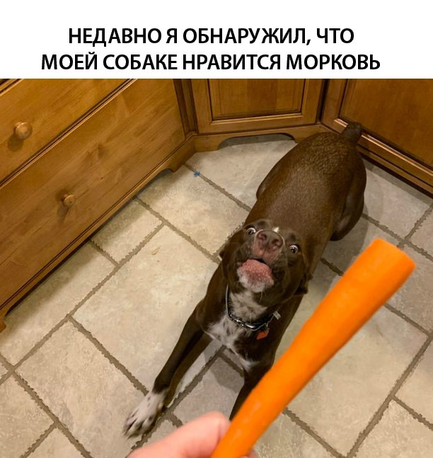 Немного картинок для настроения