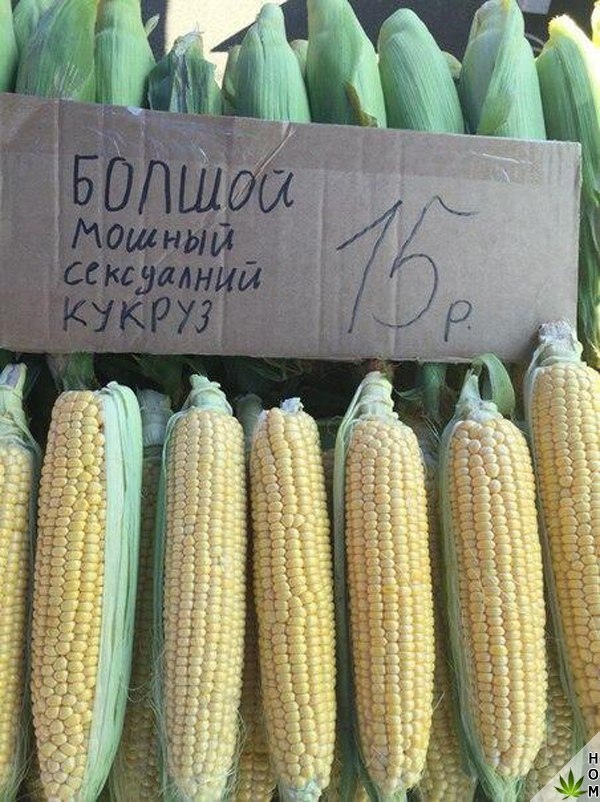 Прикольные надписи и объявления