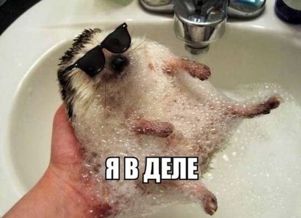 Нестандартный юмор