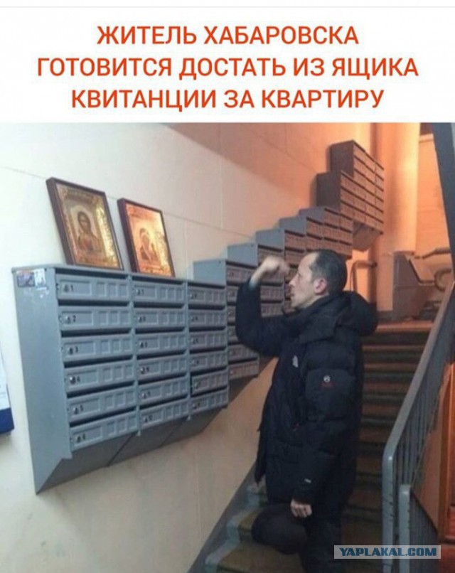 Чуток картинок 30.06.19