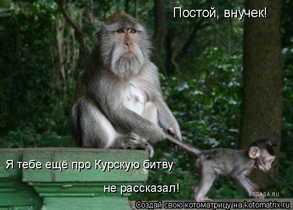 Подброка неинтересных и унылых картинок 22.11.2019