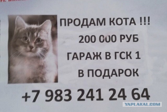 У тысяч, сотен тысяч женщин «за сорок» нет мужчины и уже никогда не будет