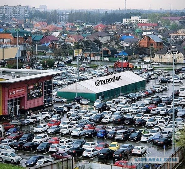 В Краснодарском крае объявили карантин