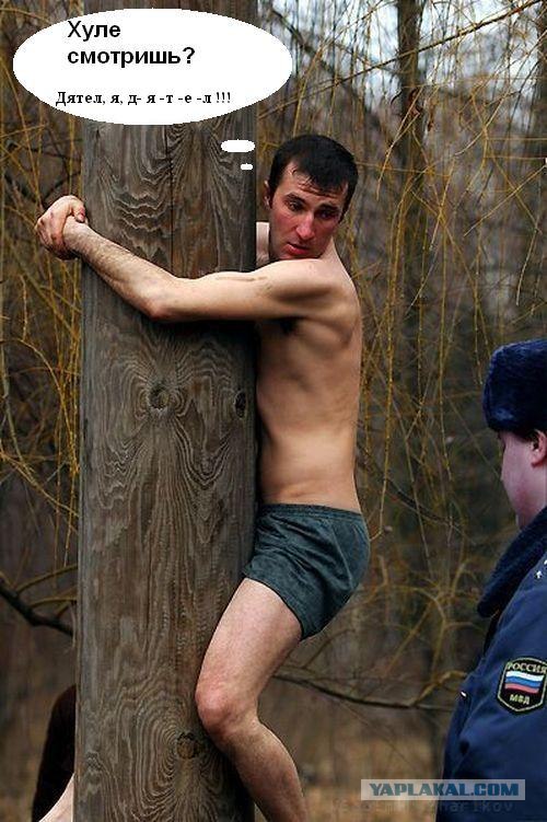 Надпись-жаба: Кто вы такие? Я вас не звал!