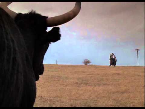 Конкурс Коротких Креативов - 22 "Кот в мешке". Итоги.