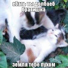 Вместо критики России  можешь сделать хотя бы так лично ты?