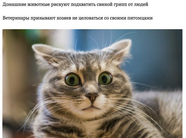 Прикольные и просто красивые картинки 11.08.2020