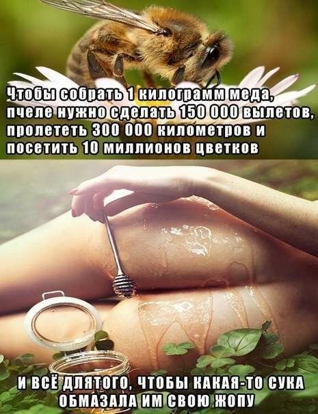 Пятница. И немного слегка пошлых картинок с надписями и без 16+ (11/09/)