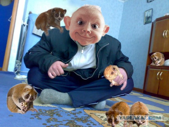 Фотожаба: Бодрячком, пацанчики!