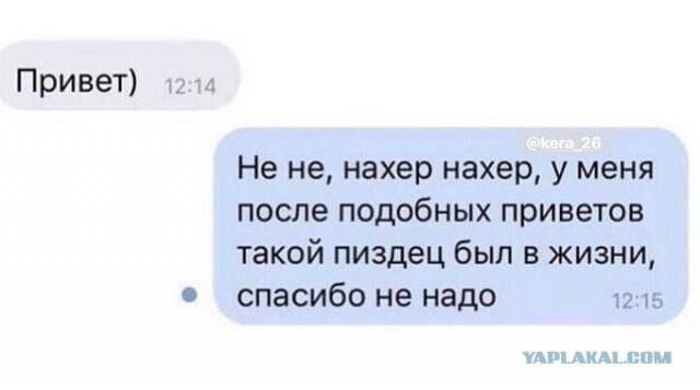 Фотки и картинки: юморные и красивые, забавные и милые 09.11.20