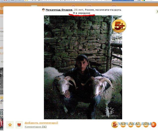 СтопХам Спб - Большие неприятности